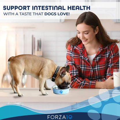 Forza10 Active Intestinal Support Diet Dry Dog Food - Everpeakgoods