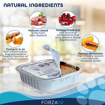 Forza10 Actiwet Hypoallergenic Canned Cat Food - Everpeakgoods