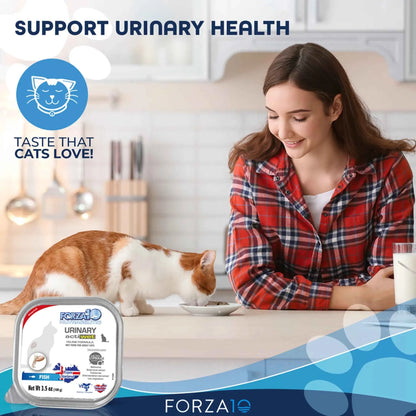 Forza10 Actiwet Urinary Support Icelandic Fish Recipe Canned Cat Food - Everpeakgoods