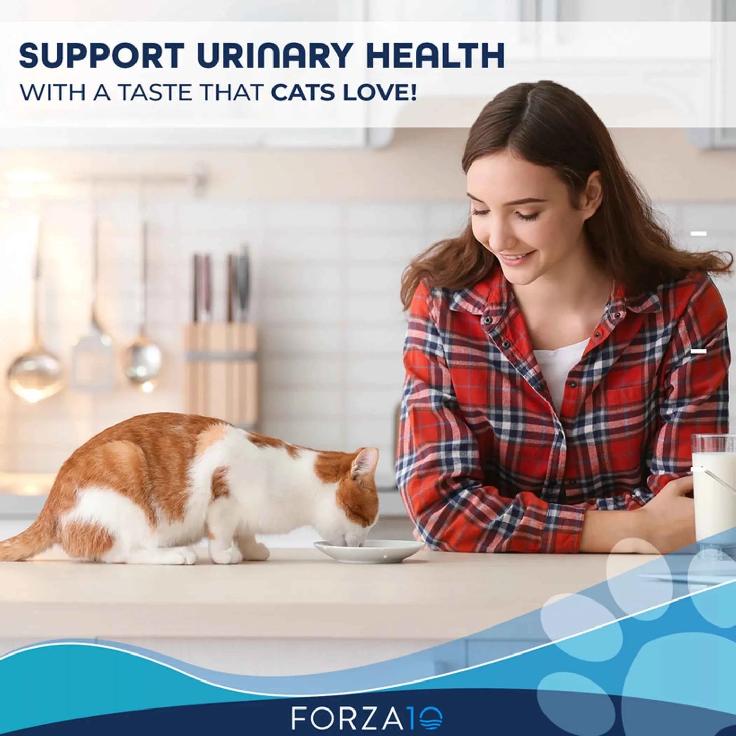 Forza10 Active Urinary Dry Cat Food - Everpeakgoods