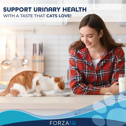 Forza10 Active Urinary Dry Cat Food - Everpeakgoods