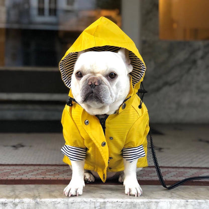 Dog Raincoat Pet Clothes Dog Clothes Rain Water - key words