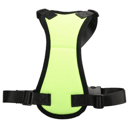 Car seat belts for pets - key words