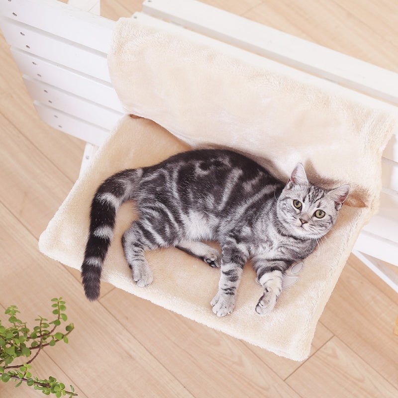 Cat bed cat hammock - key words