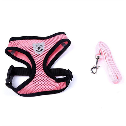 Pet Car Seat Belt Pet Leash - key words