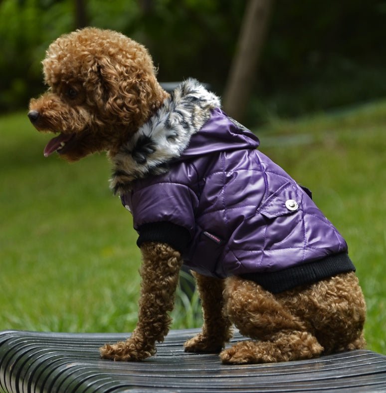 Cross-border pet supplies pet clothes dog clothes autumn and winter fur collar coat pet dog clothing - key words