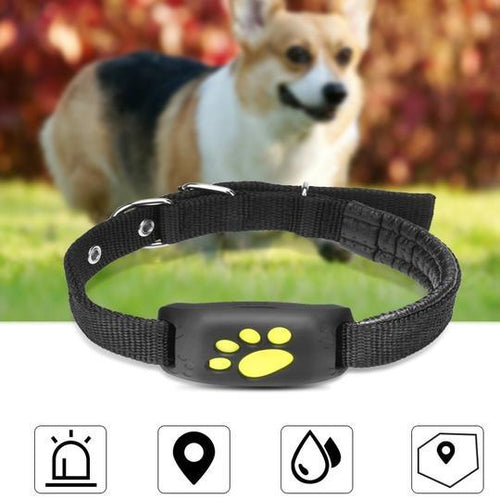 GPS Pet Tracker - key words