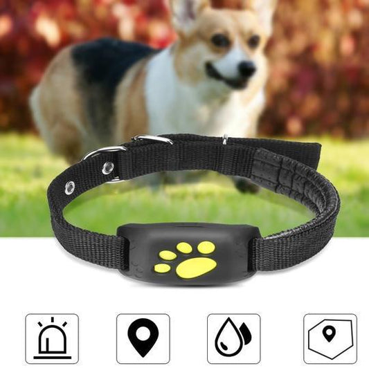 GPS Pet Tracker - key words
