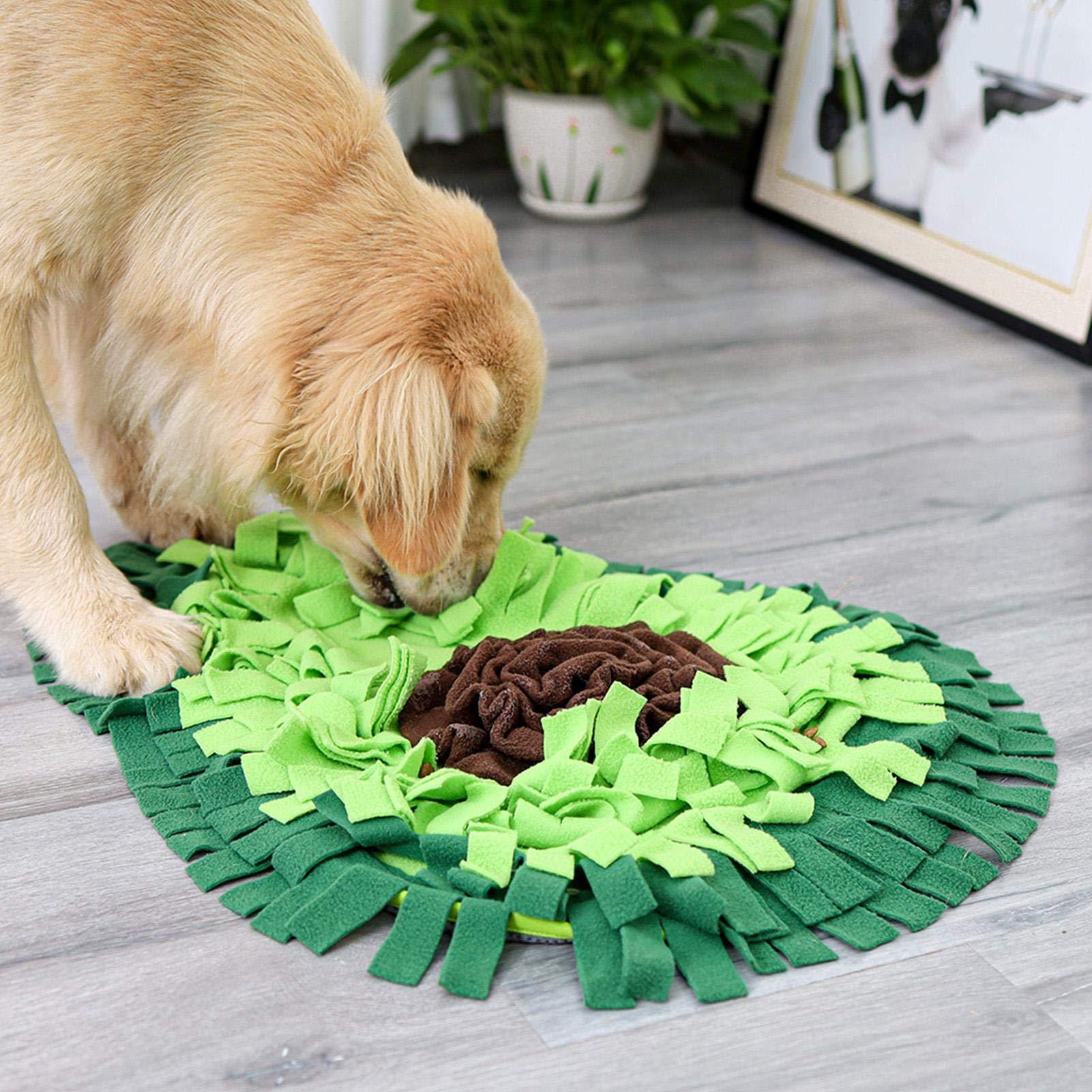 Dog Sniffing Mat Dog Puzzle Toy Pet Snack Feeding Mat Boring Interactive Game Training Blanket Snuffle Feeding Training Mat - key words