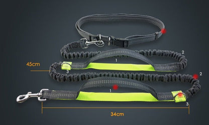 Amazon direct pet supplies multi-function running reflective pull dog leash double elastic dog leash traction - key words