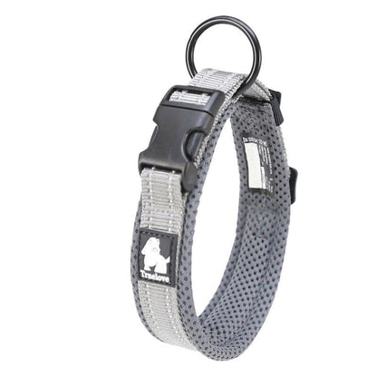 Anti Strangulation Medium Teddy Pet Products - key words
