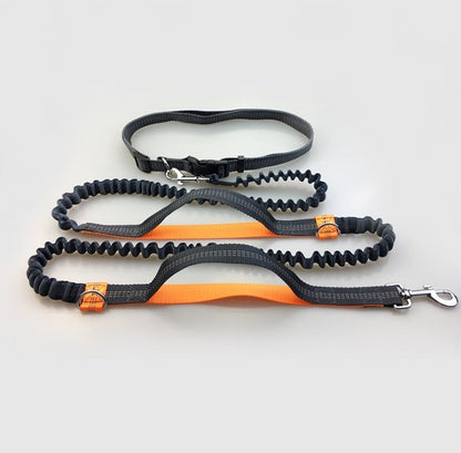 Amazon direct pet supplies multi-function running reflective pull dog leash double elastic dog leash traction - key words