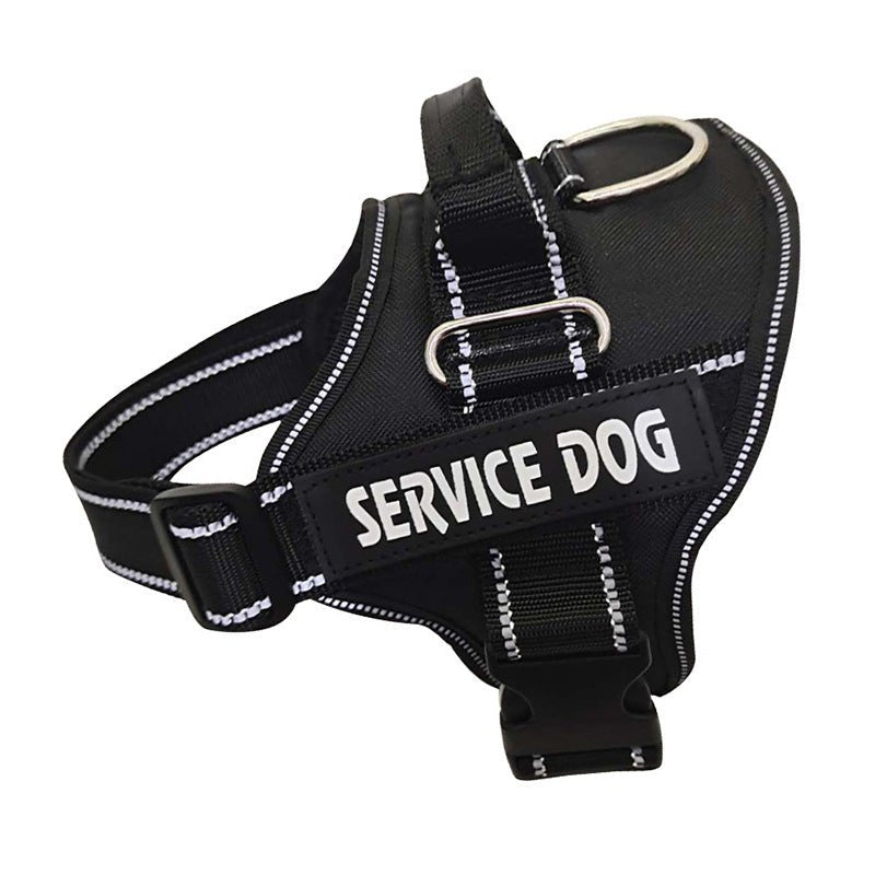 Personalization Of Pet Chest Strap Products - key words