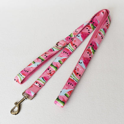 Pet Supplies Dog Collar Pet Leash - key words