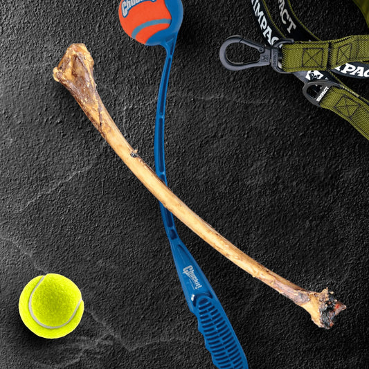 Ostrich Wing Bone : The Ultimate Long - Lasting Chew for Small Dogs & Light Chewers - Everpeakgoods