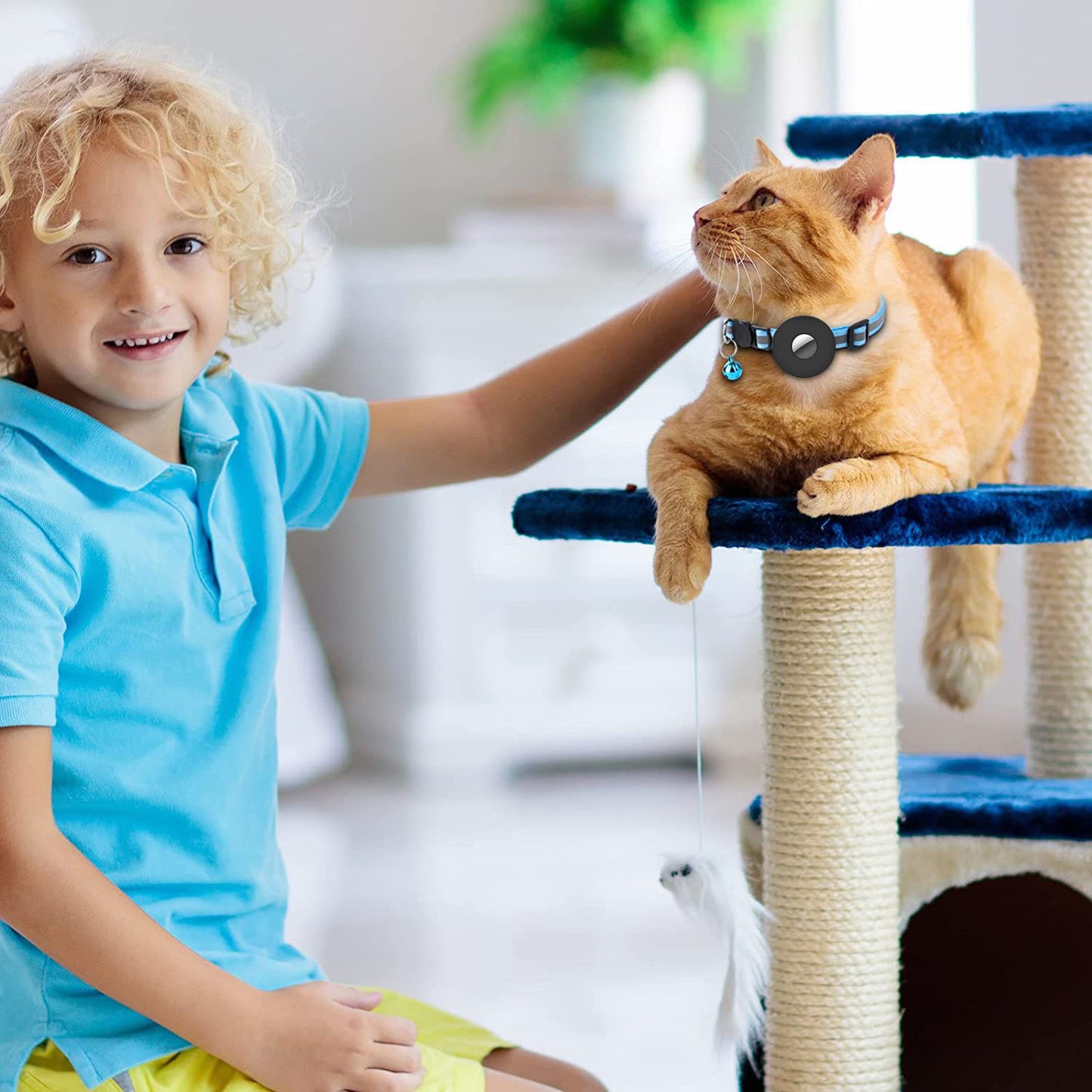 Airtag Pet Collar With Bell Reflective Adjustable Anti-lost Cat Dog Collar - key words