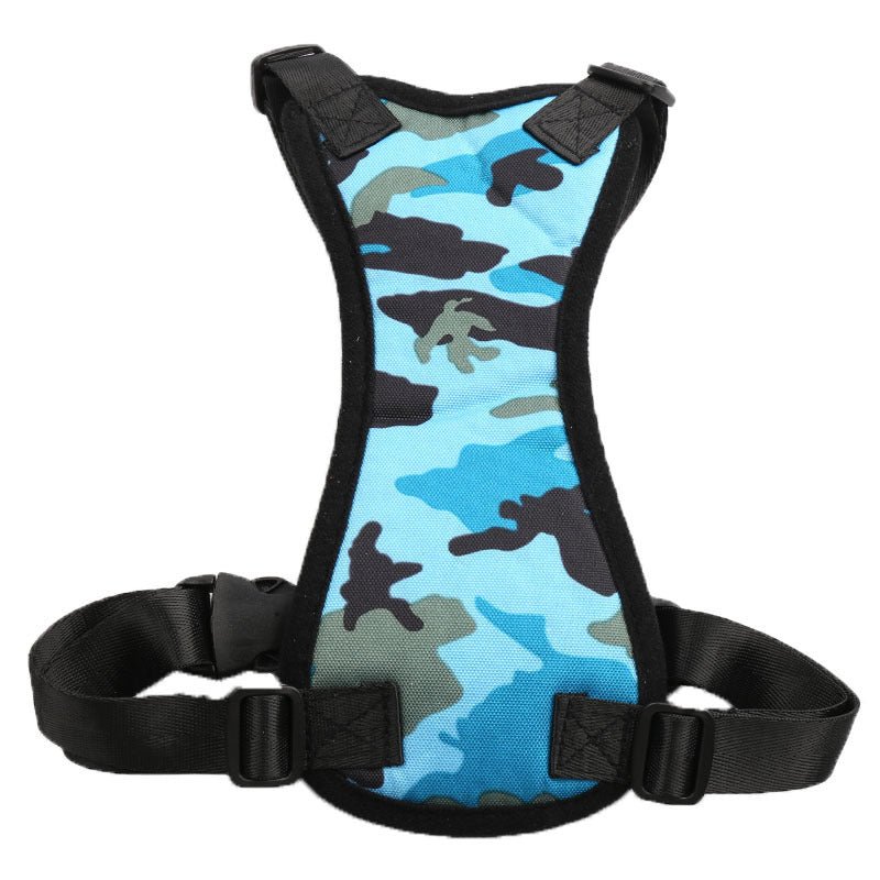 Car seat belts for pets - key words