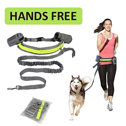 Adjustable Hands Free Dog Leash - key words