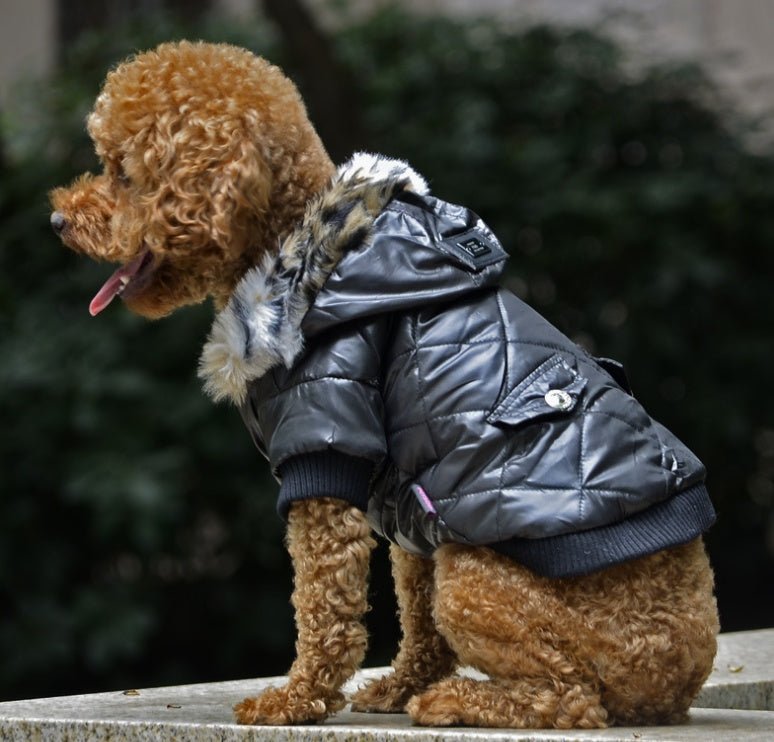 Cross-border pet supplies pet clothes dog clothes autumn and winter fur collar coat pet dog clothing - key words