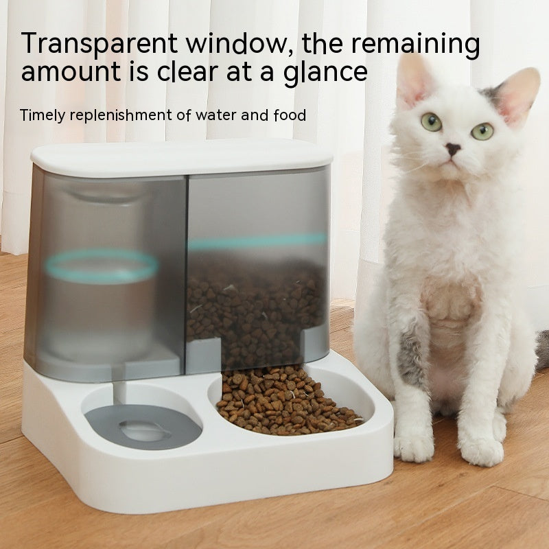 Pet Visual Automatic Pet Feeder - key words