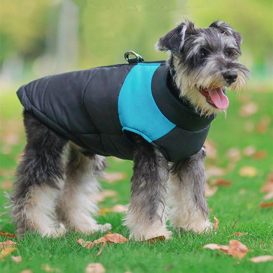 Winter Warm Pet Dog Clothes Thicken Pullover For Small Large Dogs Sweatshirt Puppy Down Jacket French For Dog Clothes - key words