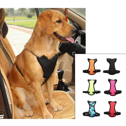 Car seat belts for pets - key words