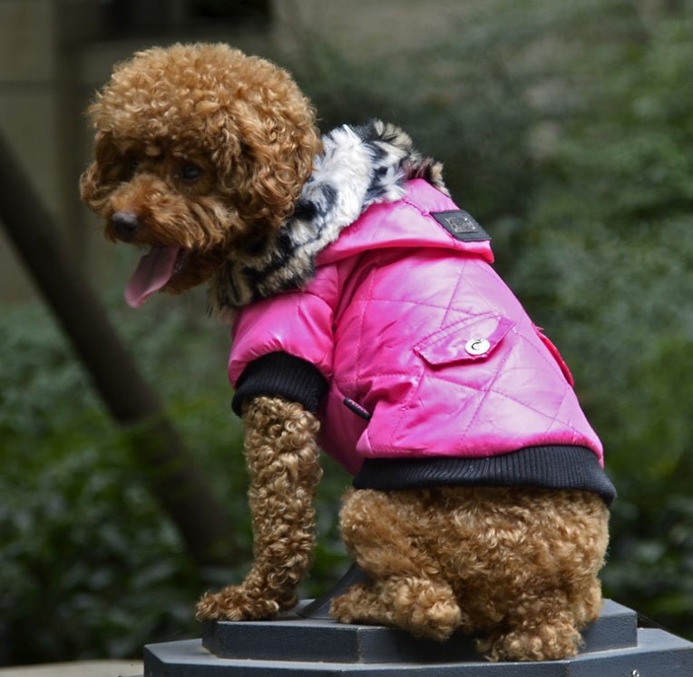 Cross-border pet supplies pet clothes dog clothes autumn and winter fur collar coat pet dog clothing - key words