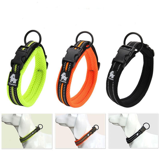 Anti Strangulation Medium Teddy Pet Products - key words