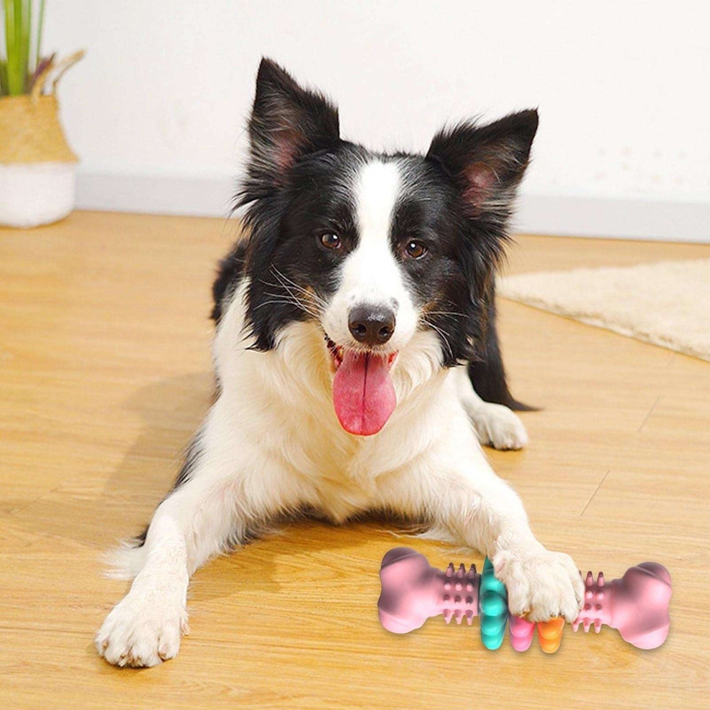 Dog Chew Toy Dog Bone Type  Dogs Teeth Cleaning Toys Indestructible TPR Bone Chewing Bite Resistant Teething Toys  Pet Products - key words
