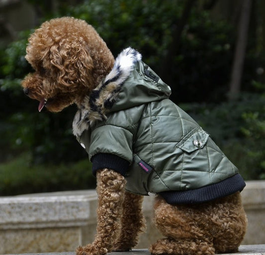 Cross-border pet supplies pet clothes dog clothes autumn and winter fur collar coat pet dog clothing - key words