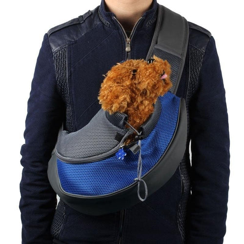 Pet Backpack - key words