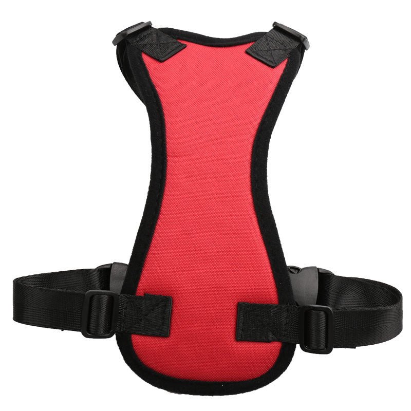 Car seat belts for pets - key words