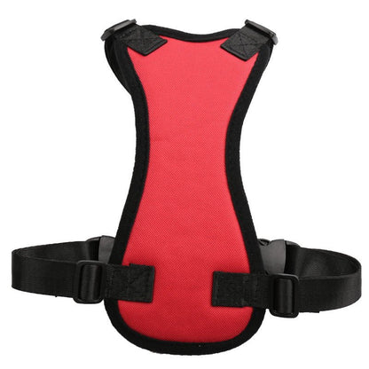 Car seat belts for pets - key words