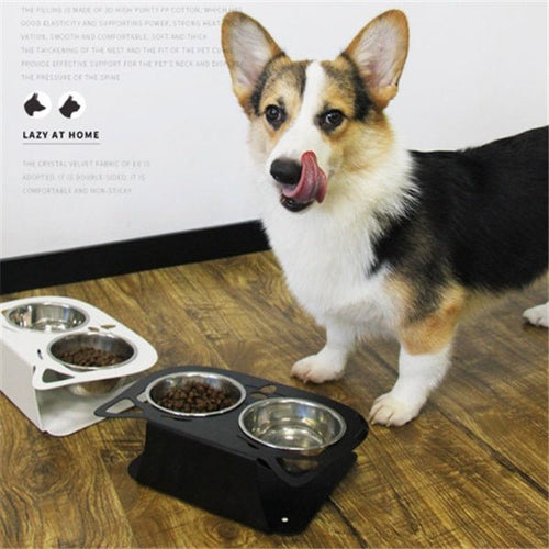 Anti-falling Cat Dog Feeding Water Bowl - key words