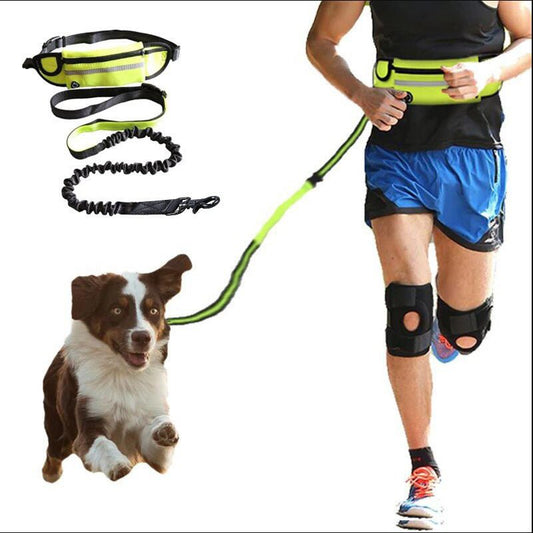 Hands Free Dog Leash Pet Walking And Training Belt With Shock Absorbing Bungee Leash For Up To 180lbs Large Dogs Phone Pocket And Water Bottle Holder - key words