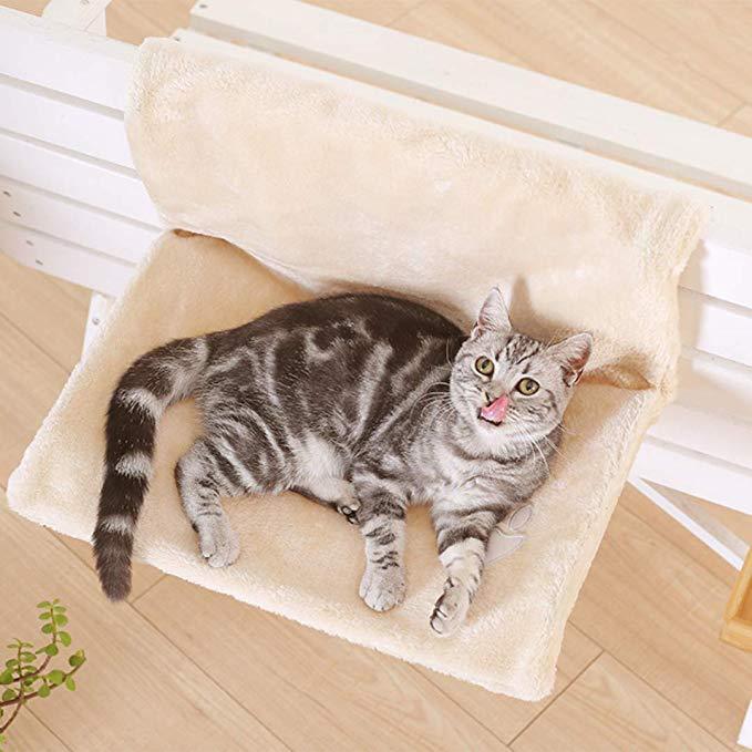Cat bed cat hammock - key words