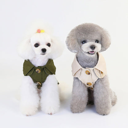clothes for pets - key words