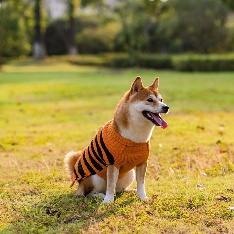 Halloween Dog Sweaters Pet Costume Teddy Warm Leisure Sweater Cosplay Clothes For Dogs Pets Outfits - key words