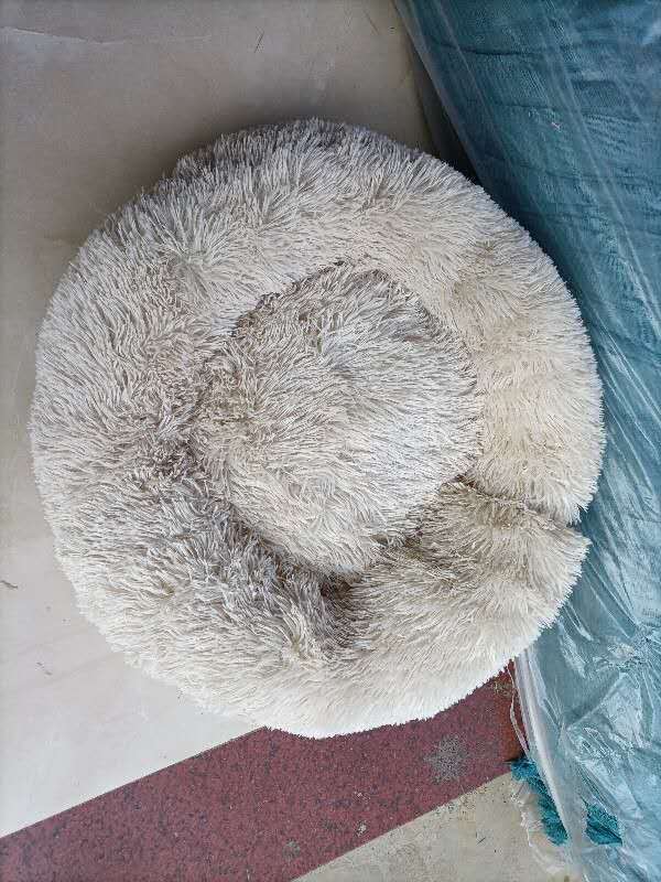 Pet sleep bed - key words