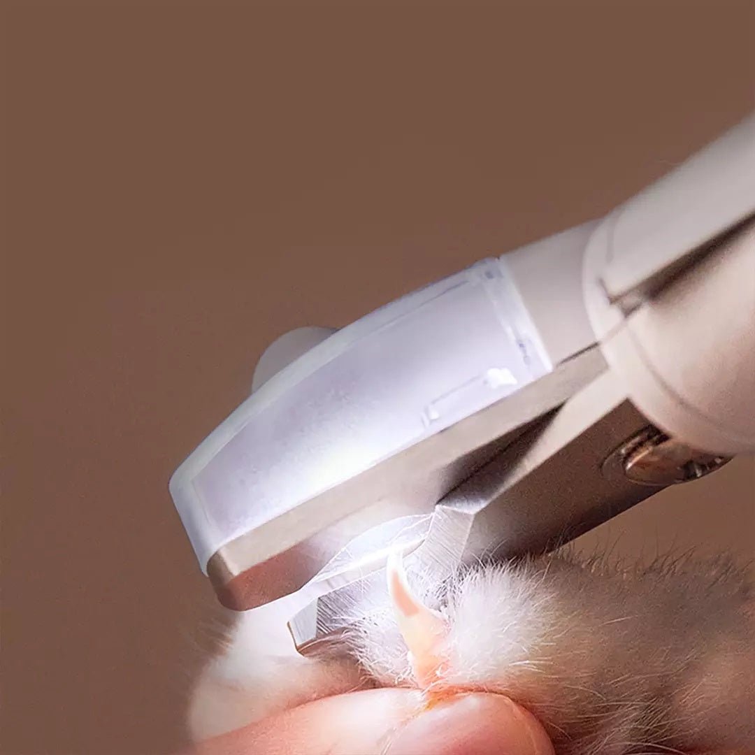 Professional Pet Nail Clipper Scissors Pet Dog Cat Nail Toe Claw Clippers Scissor LED Light Nail Trimmer For Animals Pet - key words