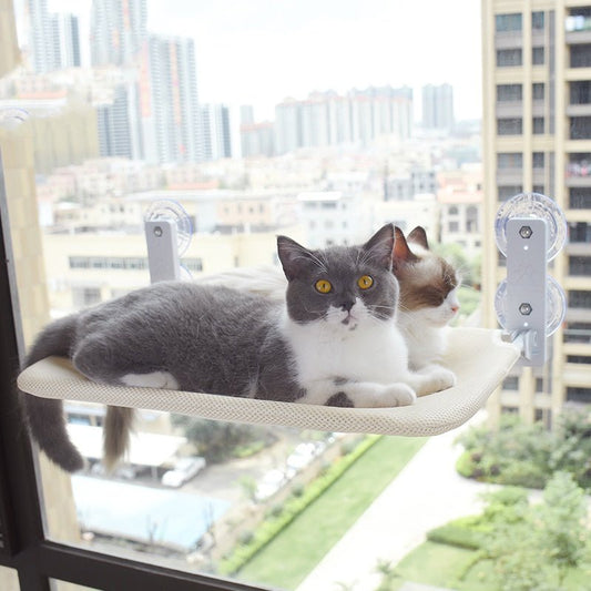 Cat Suction Cup Window Glass Hammock Pet Cat Pets Products - key words