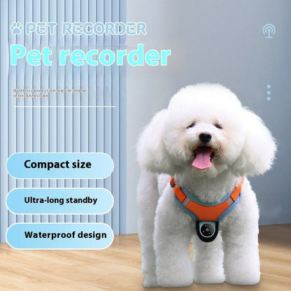 Pets Recorder Pet Tracker Collar Dogs And Cats Viewing Angle Motion Recording Camera Action Camera With Video Records Cat Collars Camera Sport Pet Products - key words