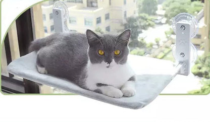 Cat Suction Cup Window Glass Hammock Pet Cat Pets Products - key words