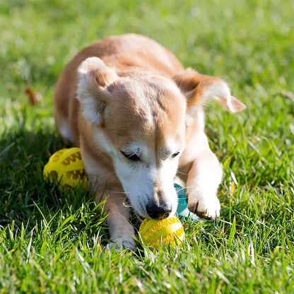 Toys for Dogs Rubber Dog Ball for Puppy Funny Dog Toys for Pet Puppies Large Dogs Tooth Cleaning Snack Ball Toy for Pet Products - key words