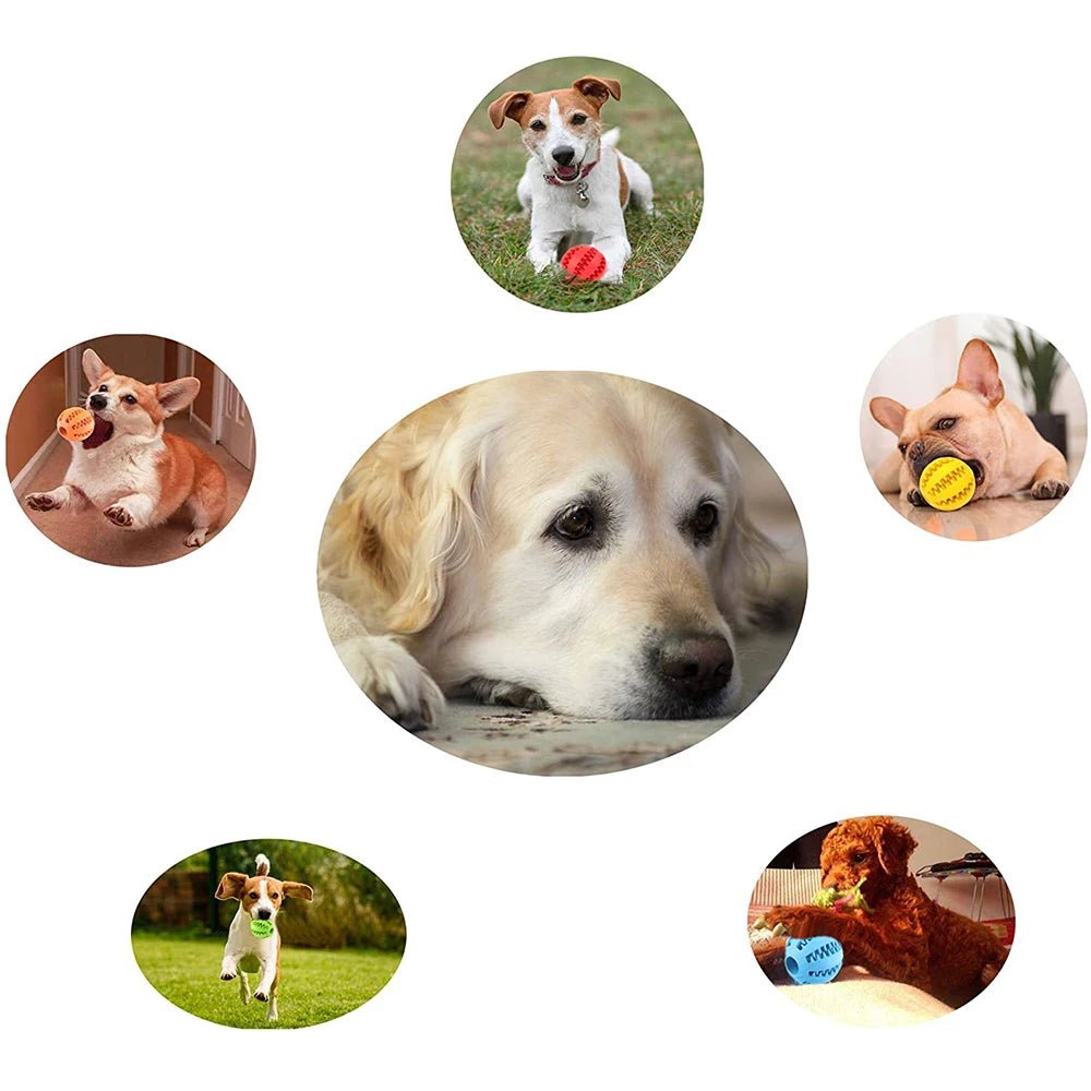 Toys for Dogs Rubber Dog Ball for Puppy Funny Dog Toys for Pet Puppies Large Dogs Tooth Cleaning Snack Ball Toy for Pet Products - key words