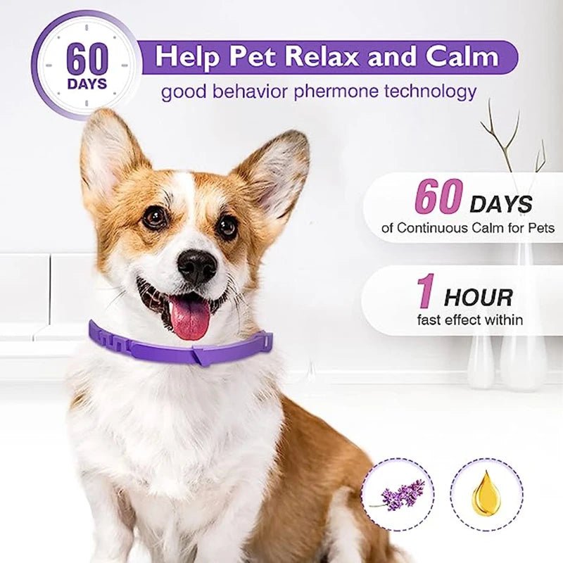 3/4 Pc Dogs Calming Pheromone Collars Cats Relieve Anxiety Adjustable Comfortable Collar For Puppy Kitten Large Pets Accessories - key words