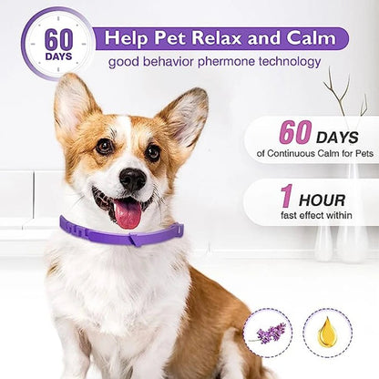 3/4 Pc Dogs Calming Pheromone Collars Cats Relieve Anxiety Adjustable Comfortable Collar For Puppy Kitten Large Pets Accessories - key words