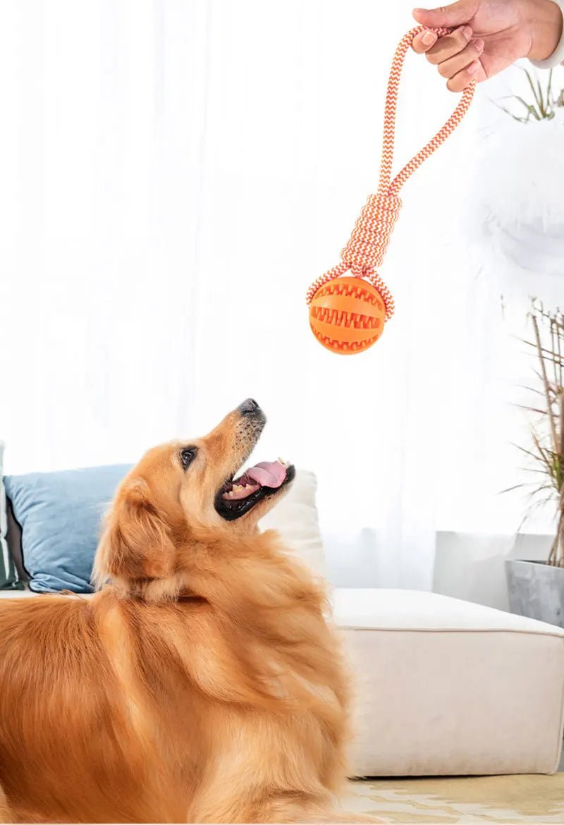 Dog Ball Toy with Rope Interactive Interactive Leaking Balls for Small Medium Dogs Chewing Bite Resistant Pet Tooth Cleaning - key words