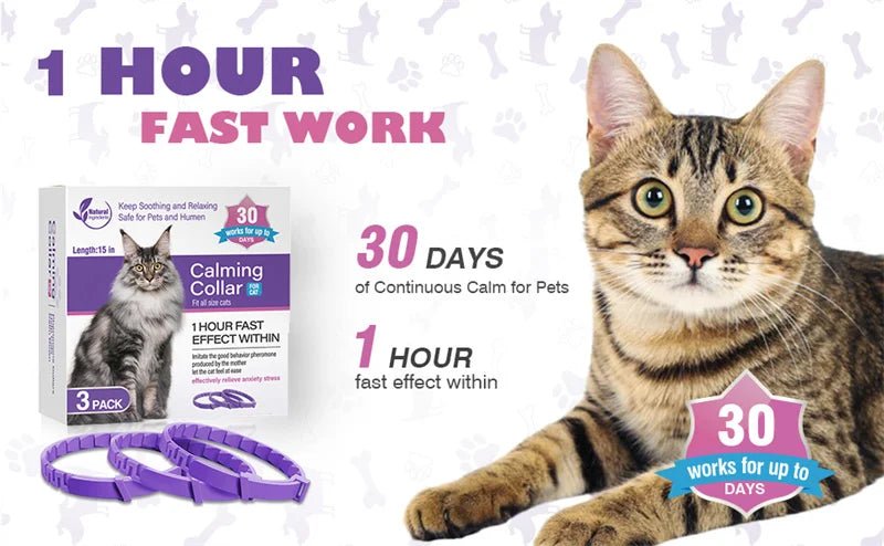 3/4 Pc Dogs Calming Pheromone Collars Cats Relieve Anxiety Adjustable Comfortable Collar For Puppy Kitten Large Pets Accessories - key words