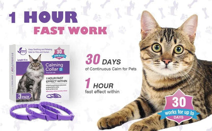 3/4 Pc Dogs Calming Pheromone Collars Cats Relieve Anxiety Adjustable Comfortable Collar For Puppy Kitten Large Pets Accessories - key words